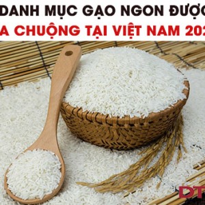 Danh mục gạo ngon được ưa chuộng tại Việt Nam